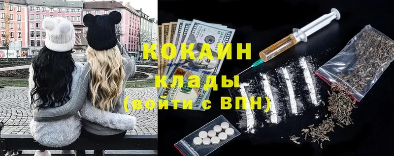 закладка  Болхов  Cocaine FishScale 